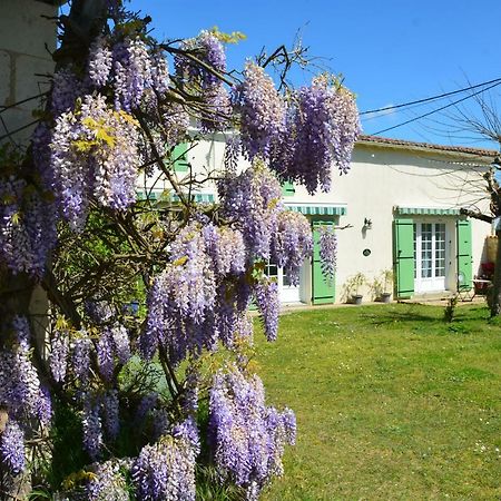 Le Petit Saule Villa Floirac  Eksteriør billede